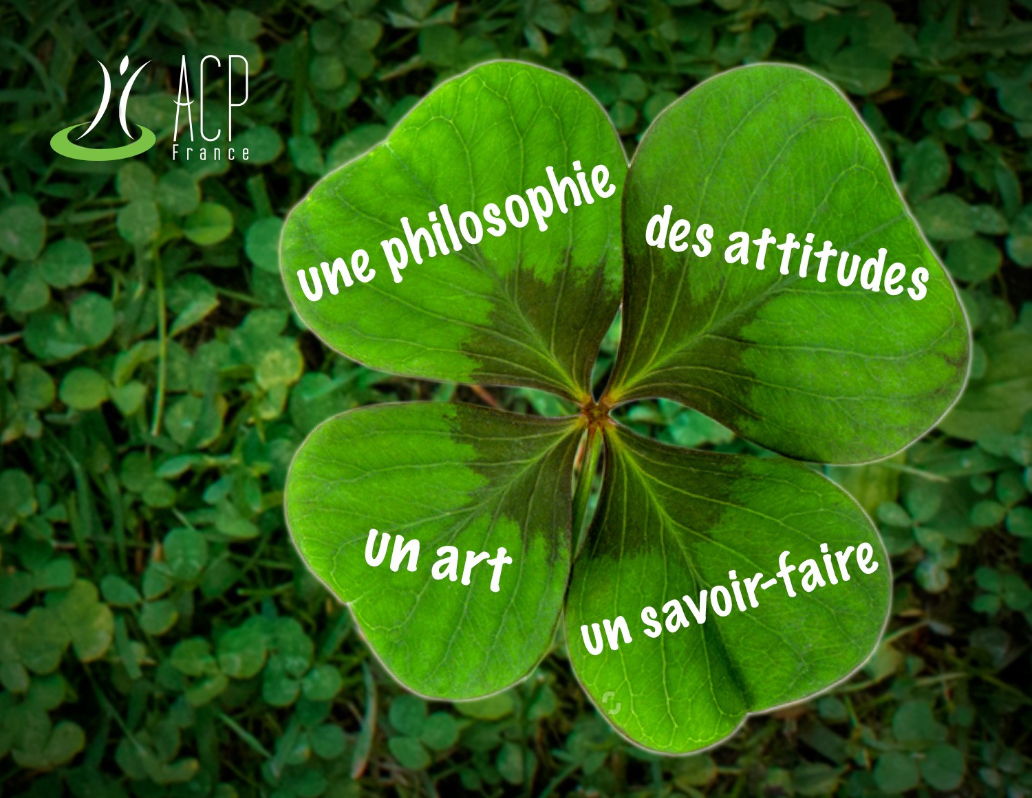 Valeurs de l'Approche Centrée sur la Personne