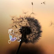 escalade_pissenlit Formation à la relation d’aide